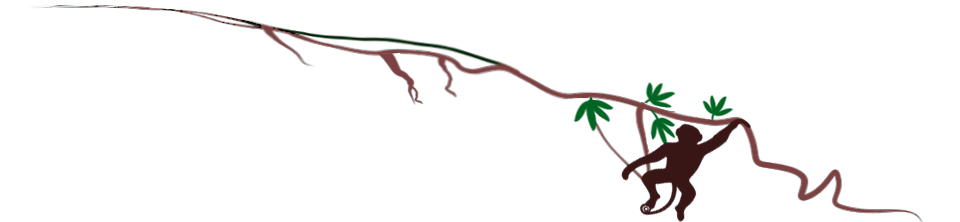 Vine Ruler